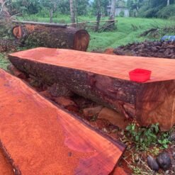 Mahogany Wood Slabs
