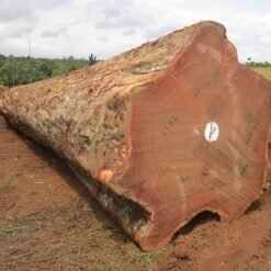 Bubinga Wood Logs