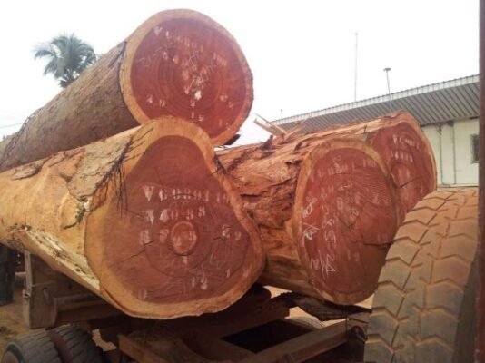 Sapele Wood Logs