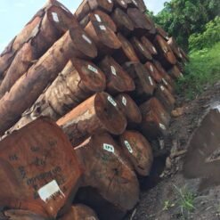 Tali Wood Logs