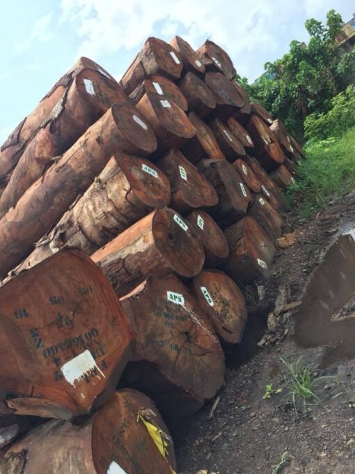 Tali Wood Logs