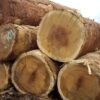 Iroko Wood Logs
