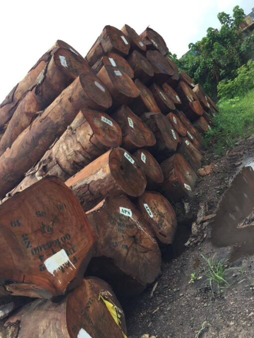 Tali Wood Logs
